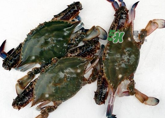 青島梭子蟹多少錢(qián)一斤？青島梭子蟹什么時(shí)候上市？