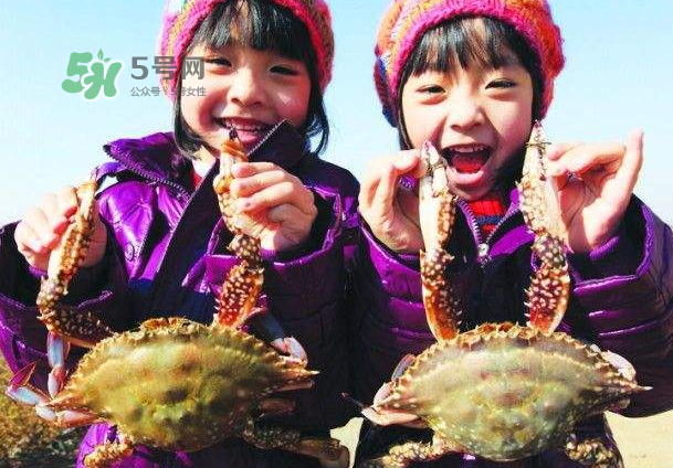 青島梭子蟹多少錢(qián)一斤？青島梭子蟹什么時(shí)候上市？