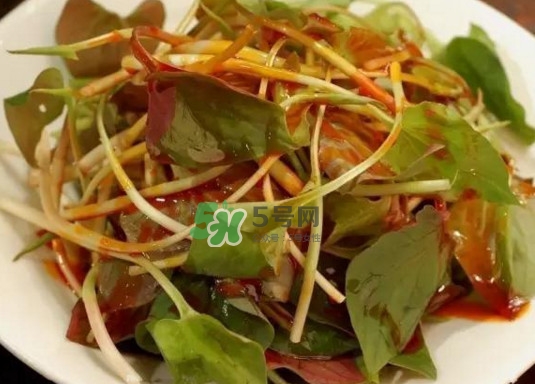 折耳根有毒嗎？折耳根有毒吃了會傷腎？