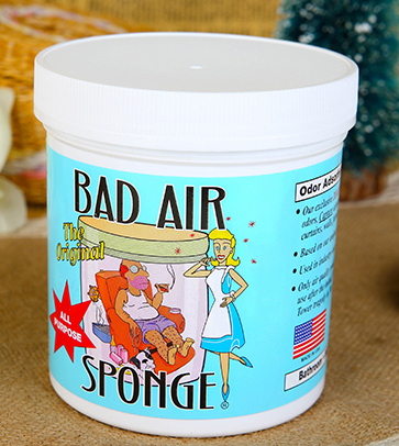 Bad Air Sponge有用嗎？Bad Air Sponge效果如何？