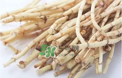 折耳根怎么清洗？折耳根如何冼才干凈