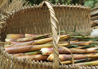 苦筍可以和排骨一起煮嗎？排骨能和苦筍一起吃嗎