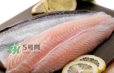 巴沙魚是鯰魚嗎？巴沙魚是海魚嗎