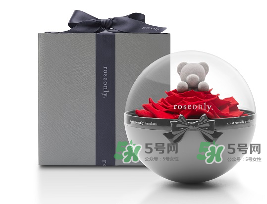 roseonly熊怎么樣？roseonly玫瑰熊好看嗎？