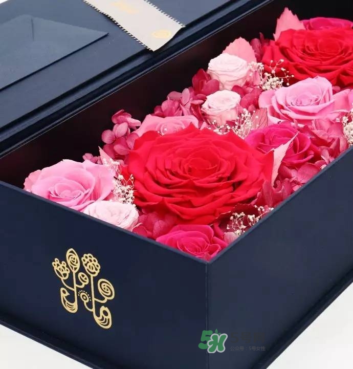 野獸派2017七夕禮盒有哪些？野獸派2017七夕禮盒價(jià)格