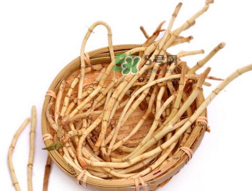 折耳根有毒嗎？折耳根有毒吃了會傷腎？