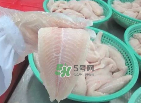 巴沙魚有刺嗎？巴沙魚有寄生蟲嗎