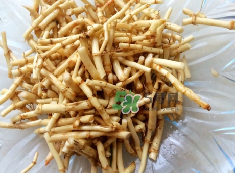 魚腥草可以和蜂蜜一起喝嗎？蜂蜜能和魚腥草一起泡嗎