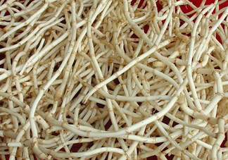 新鮮的折耳根怎么保存？折耳根能放多久