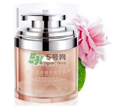 植物醫(yī)生睡眠面膜怎么樣？植物醫(yī)生晚安面膜價(jià)格