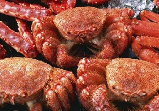 板蟹和帝王蟹哪個好吃？板蟹和帝王蟹區(qū)別