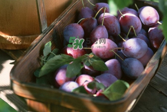 烏梅是綠色的正常嗎？烏梅是綠色的能吃嗎