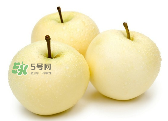 雪梨是涼性還是熱性？雪梨是寒性水果嗎？