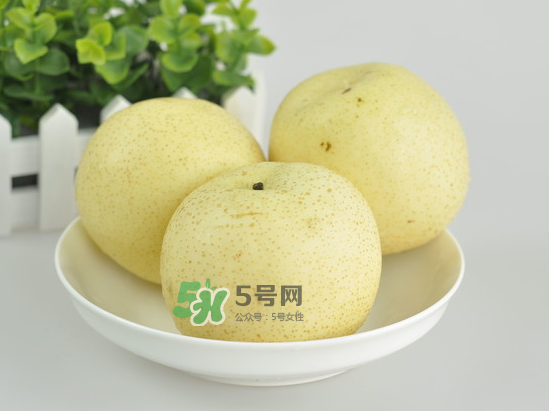 雪梨是涼性還是熱性？雪梨是寒性水果嗎？