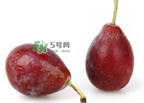 烏梅是西梅嗎？烏梅和西梅的區(qū)別