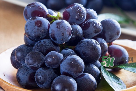 黑提子是涼性還是熱性？黑提是熱性還是涼性？