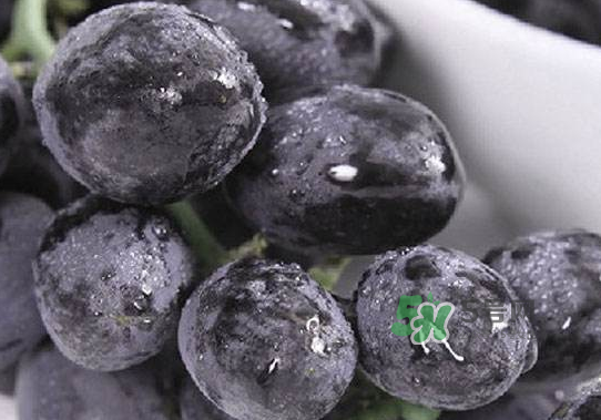 黑提子是涼性還是熱性？黑提是熱性還是涼性？