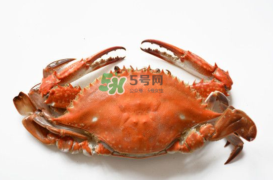 南方蟹和北方蟹的區(qū)別 南方人和北方人吃螃蟹的區(qū)別 南方蟹和北方蟹的區(qū)別 南方人和北方人吃螃蟹的區(qū)別