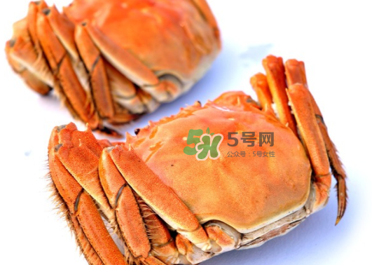 板蟹蒸多長時間？板蟹蒸多久時間能熟？