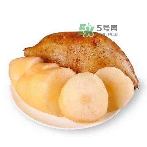 雪蓮果怎么挑？雪蓮果怎么儲存方法？