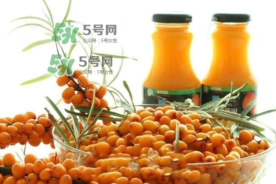 沙棘是什么？沙棘的功效與作用