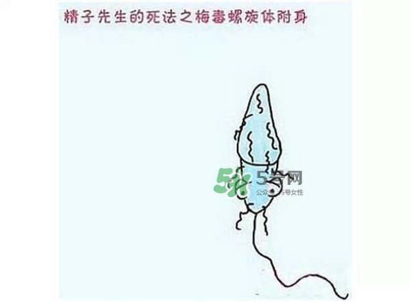 殺精的食物有哪些？吃什么東西殺精？