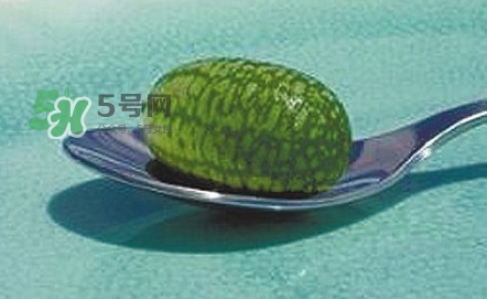 拇指西瓜口感如何？拇指西瓜什么味道？