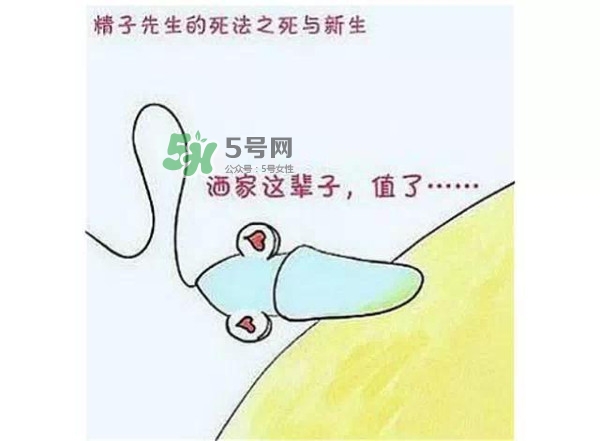 殺精的食物有哪些？吃什么東西殺精？