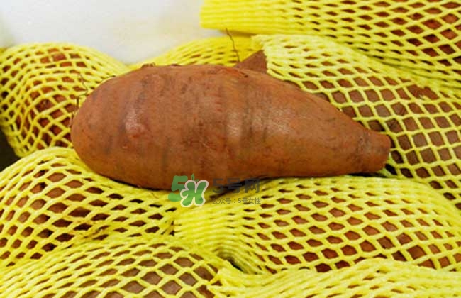 雪蓮果什么時候吃最好？雪蓮果是什么味道？