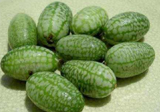 世界上最小西瓜是拇指西瓜嗎？世界上最小西瓜帶皮吃嗎