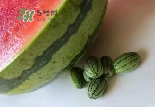 拇指西瓜什么時(shí)候上市？拇指西瓜什么時(shí)候成熟