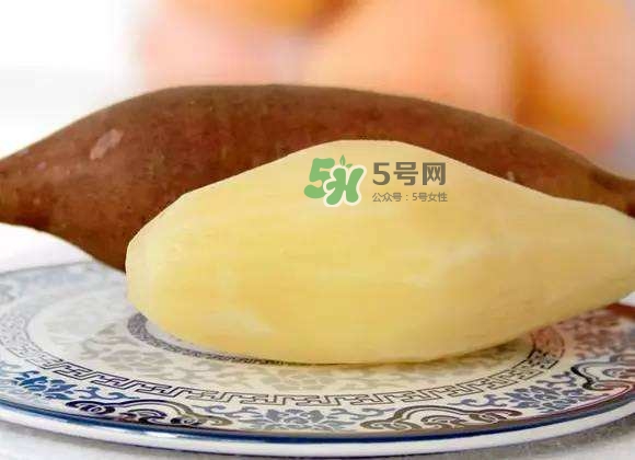 雪蓮果是地瓜嗎？雪蓮果和紅薯的區(qū)別