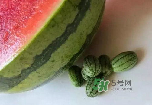 拇指西瓜多少錢一斤？拇指西瓜一口能吃幾個(gè)？