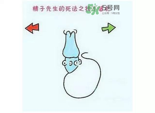 殺精的食物有哪些？吃什么東西殺精？