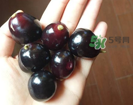 烏梅是酸性還是堿性？烏梅是熱性還是涼性