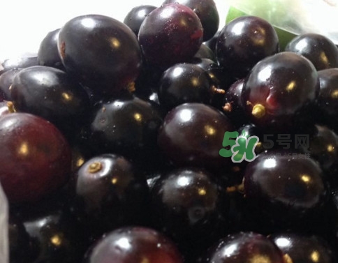 烏梅是綠色的正常嗎？烏梅是綠色的能吃嗎