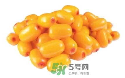 沙棘怎么吃？沙棘果的食用禁忌