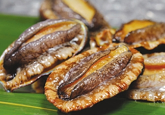 鮑魚(yú)多少錢(qián)一斤市場(chǎng)價(jià)2022年 鮑魚(yú)多少錢(qián)一只