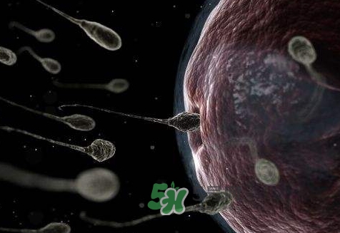 殺精劑避孕可靠嗎？殺精劑避孕要注意什么？