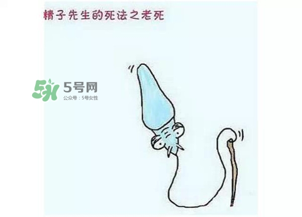 殺精的食物有哪些？吃什么東西殺精？