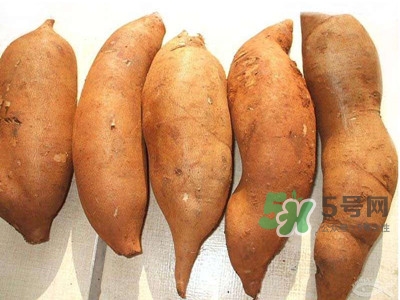 雪蓮果什么時候吃最好？雪蓮果是什么味道？