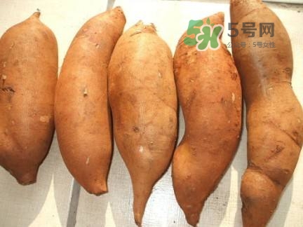 雪蓮果是水果嗎？雪蓮果是什么季節(jié)的水果？