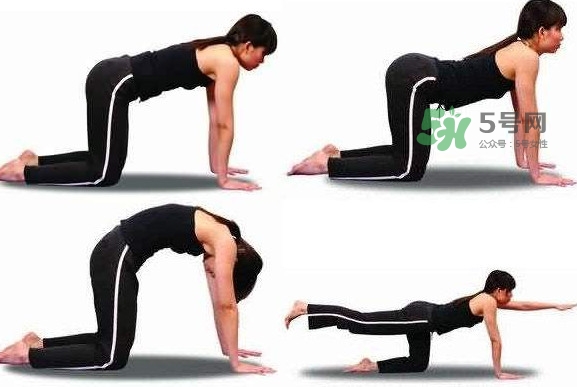 冰激凌線是什么鬼？冰淇淋線怎么鍛煉？