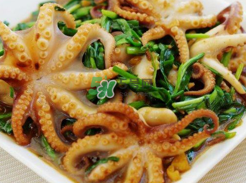 八爪魚可以冷凍嗎？八爪魚可以放冰箱嗎？