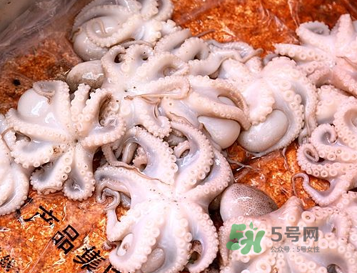 八爪魚可以冷凍嗎？八爪魚可以放冰箱嗎？