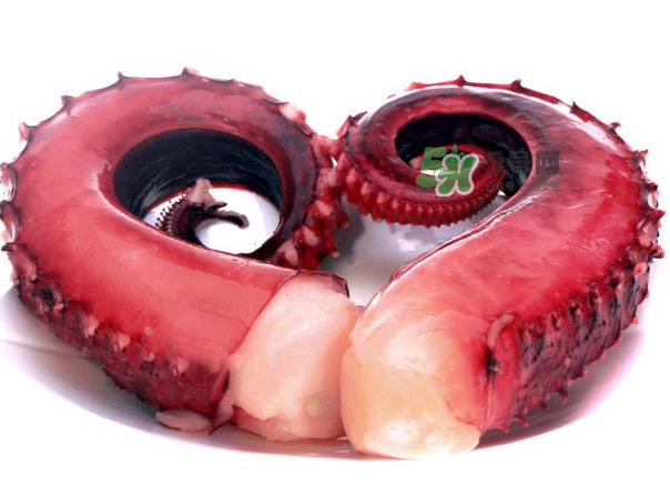 八爪魚煮多久才好？八爪魚需要煮多久？