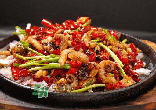 八爪魚煮多久才好？八爪魚需要煮多久？