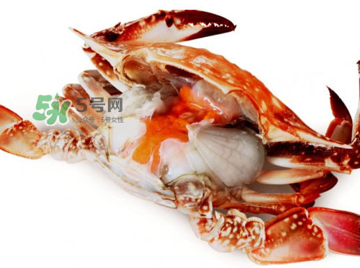 吃梭子蟹會胖嗎？梭子蟹吃了會胖嗎？ 