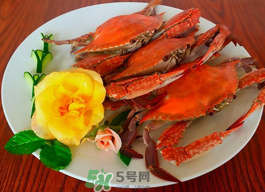 吃梭子蟹會胖嗎？梭子蟹吃了會胖嗎？ 