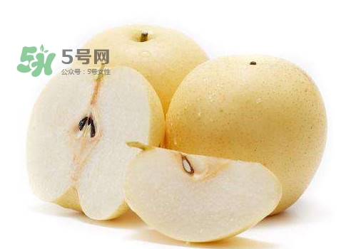 皇冠梨和雪花梨哪個(gè)好？雪花梨和皇冠梨的區(qū)別